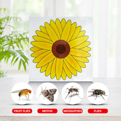 3-12pk Fly Trap Window Stickers Sticky Sunflower Insect Bug Flies Killer Catcher