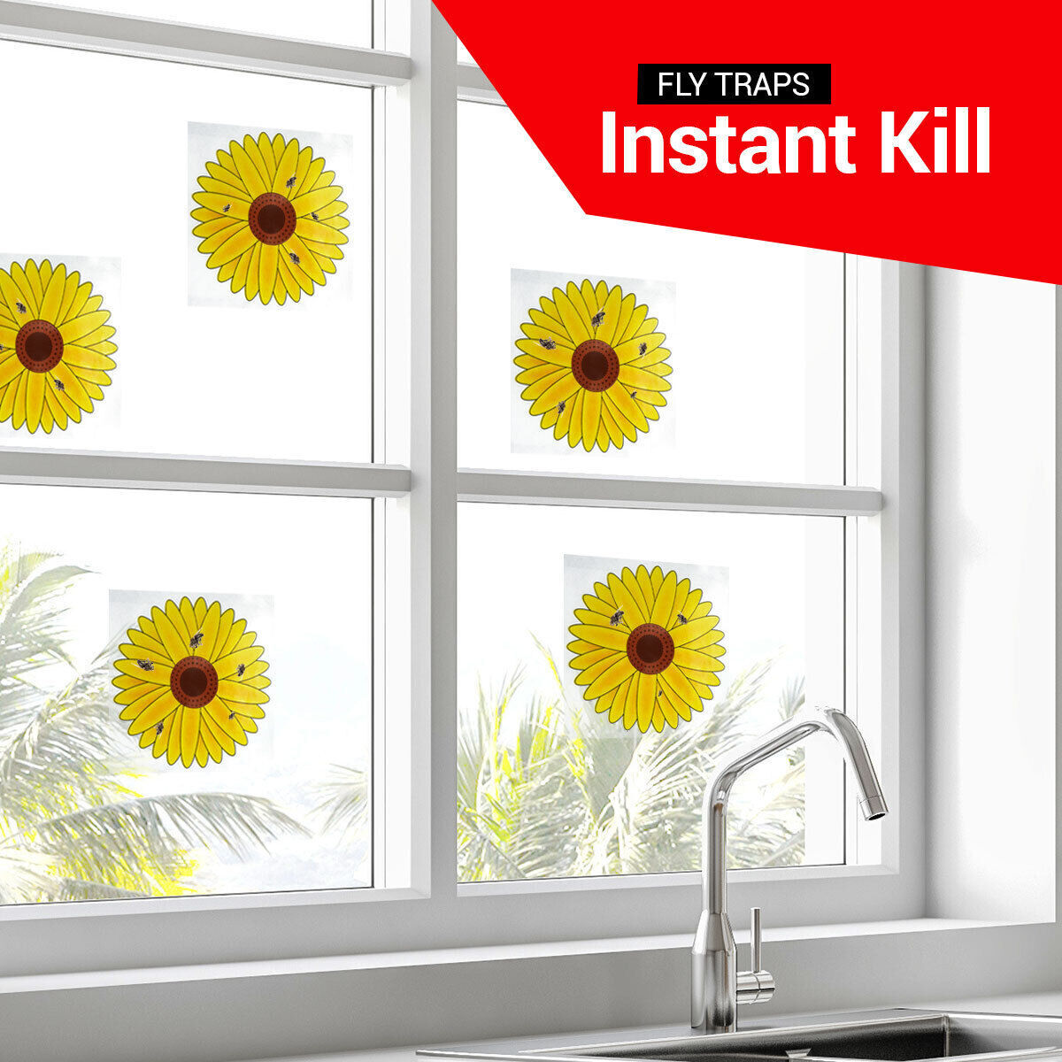 3-12pk Fly Trap Window Stickers Sticky Sunflower Insect Bug Flies Killer Catcher